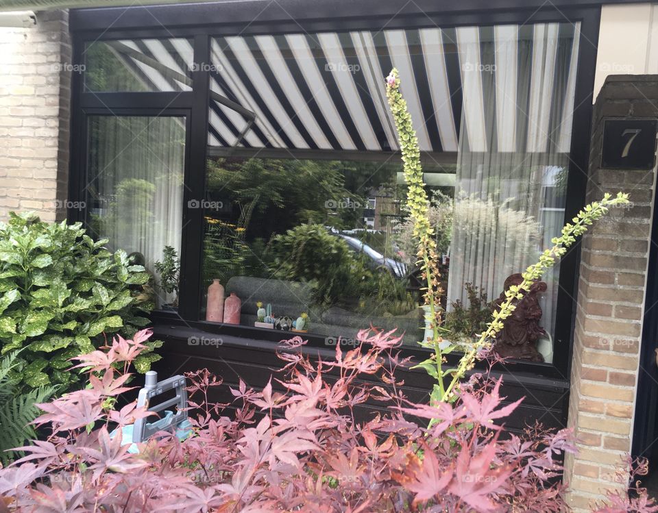 Window view mission photo by foap 