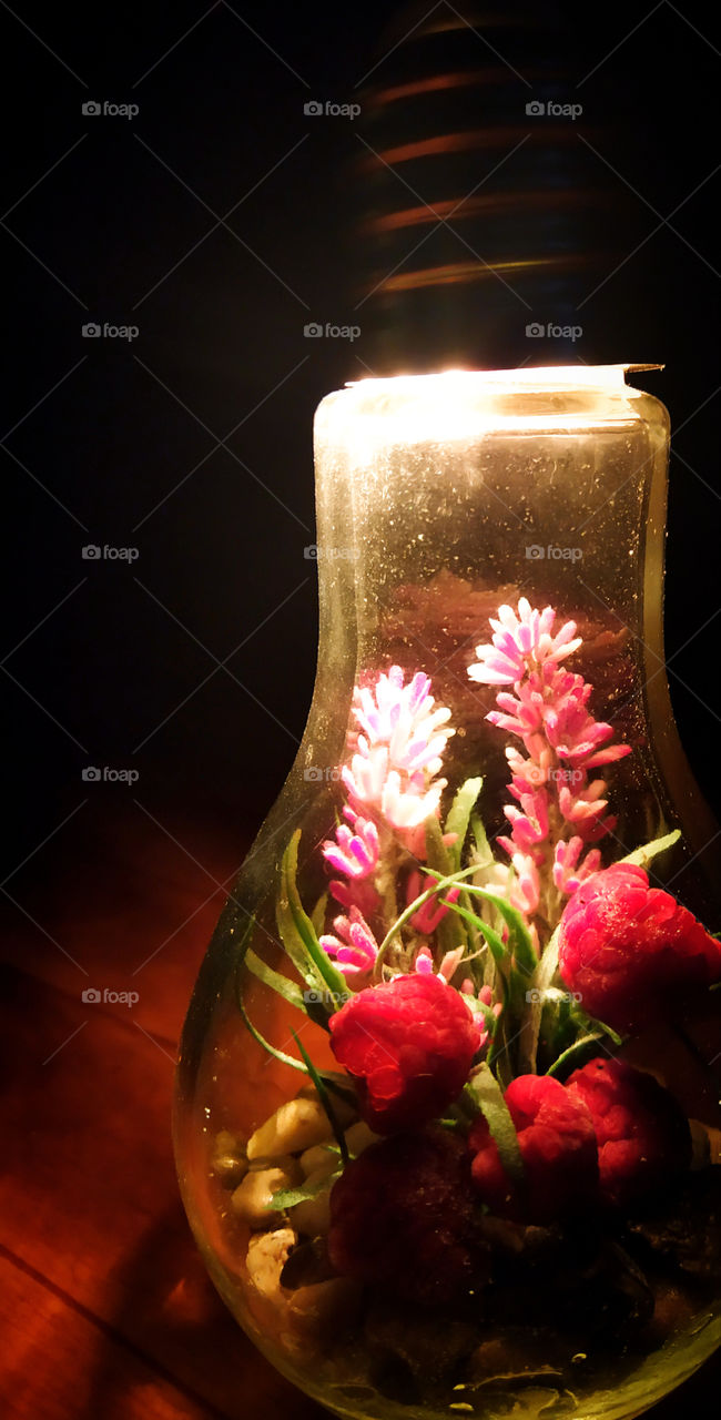In a light bulb: stones, artificial flowers and frozen raspberries