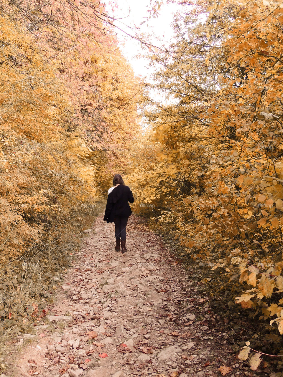 Autumn. A woman walk through the trees 