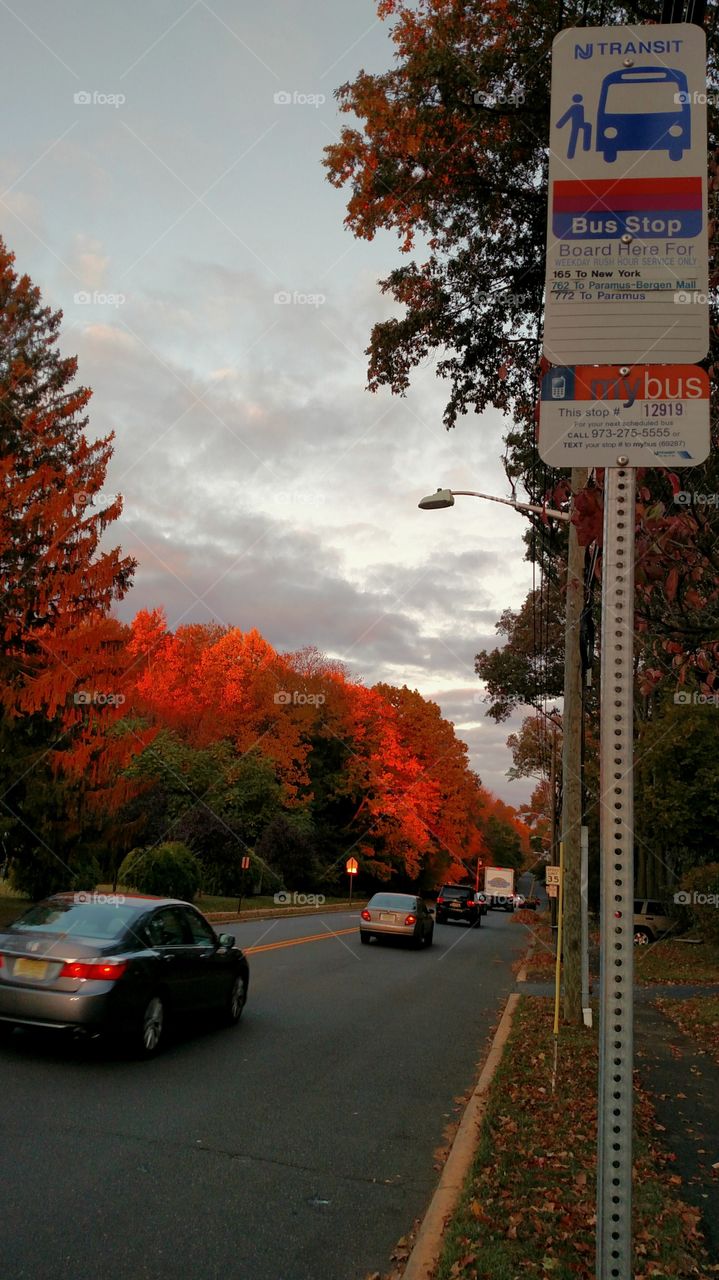 Morning Commute by FLEETPHOTO