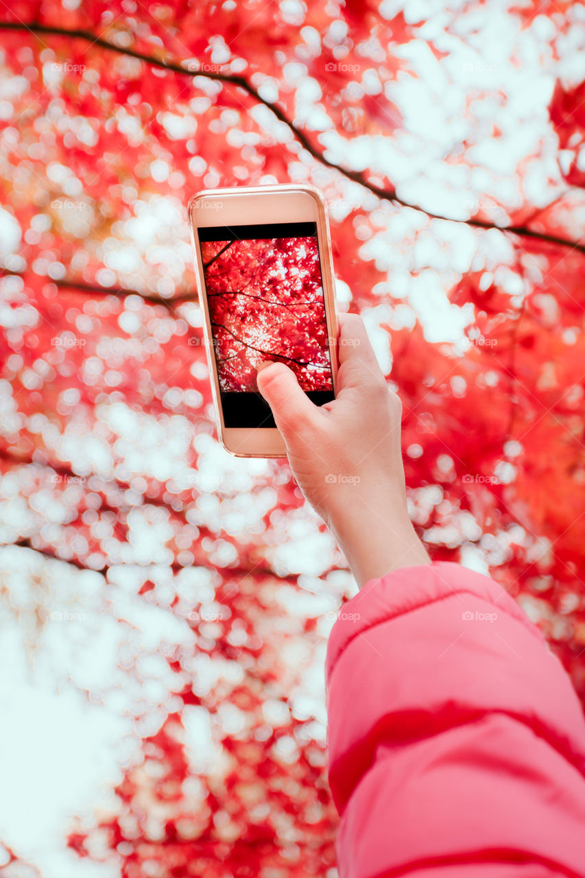 Woman of photographing autumn tree