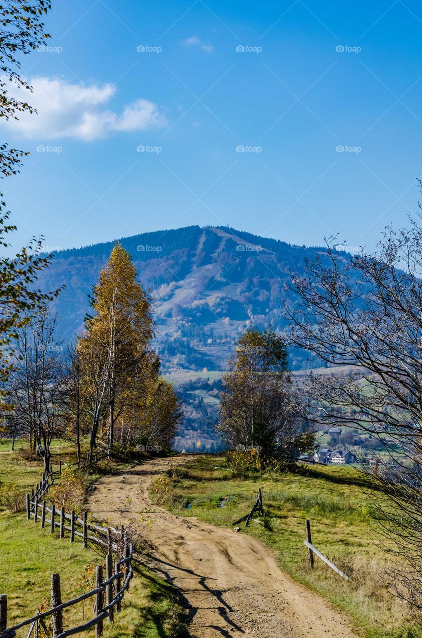 Carpathian mountains landscape