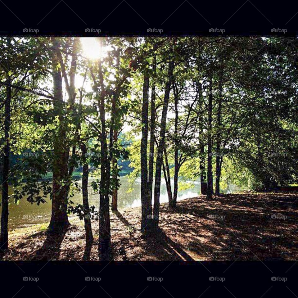 Creek
Tangipahoa parish Louis 