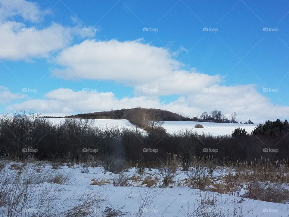Winter, Snow, Landscape, Tree, No Person