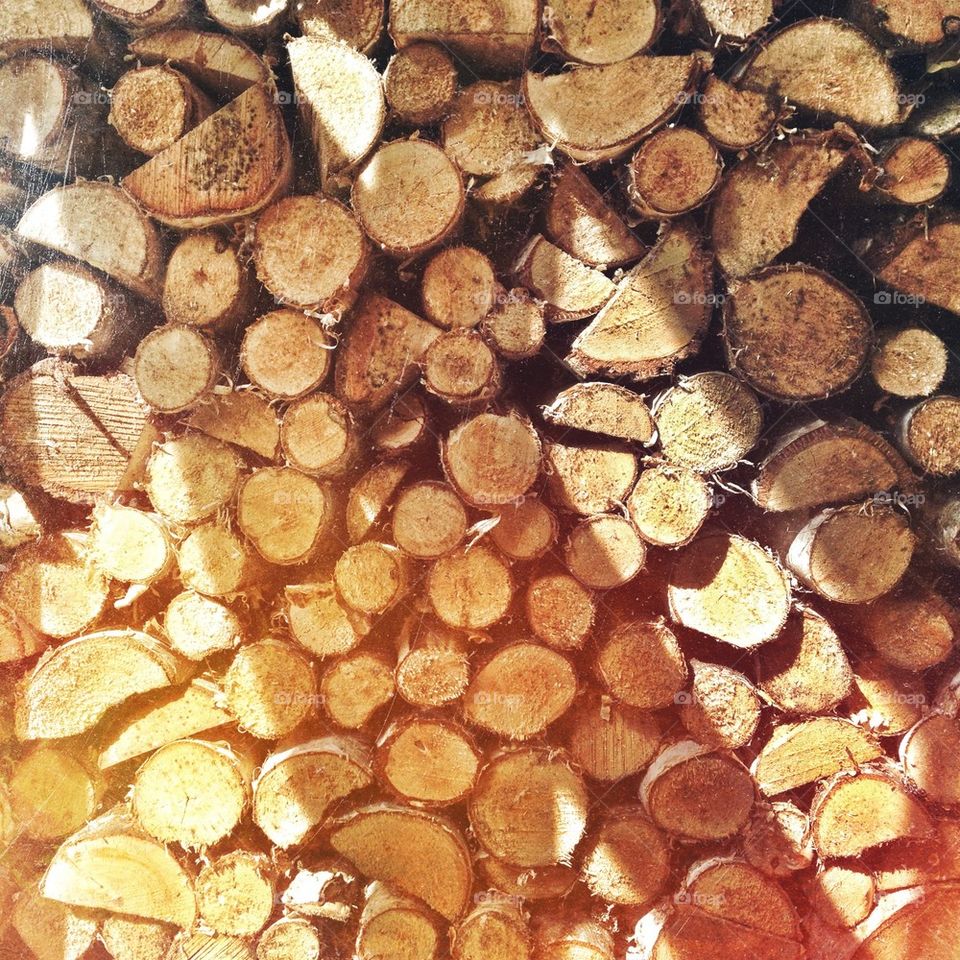 Wood