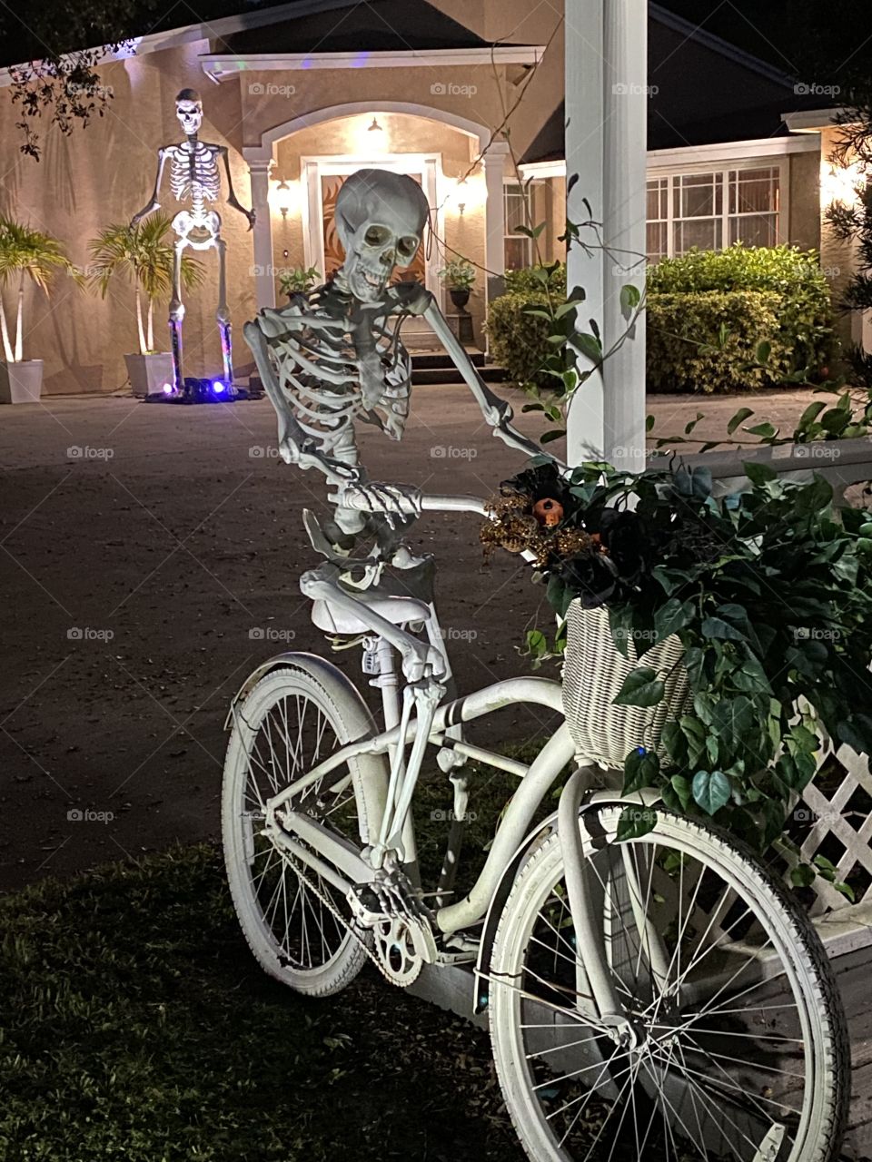 Bike Bones ghost rider