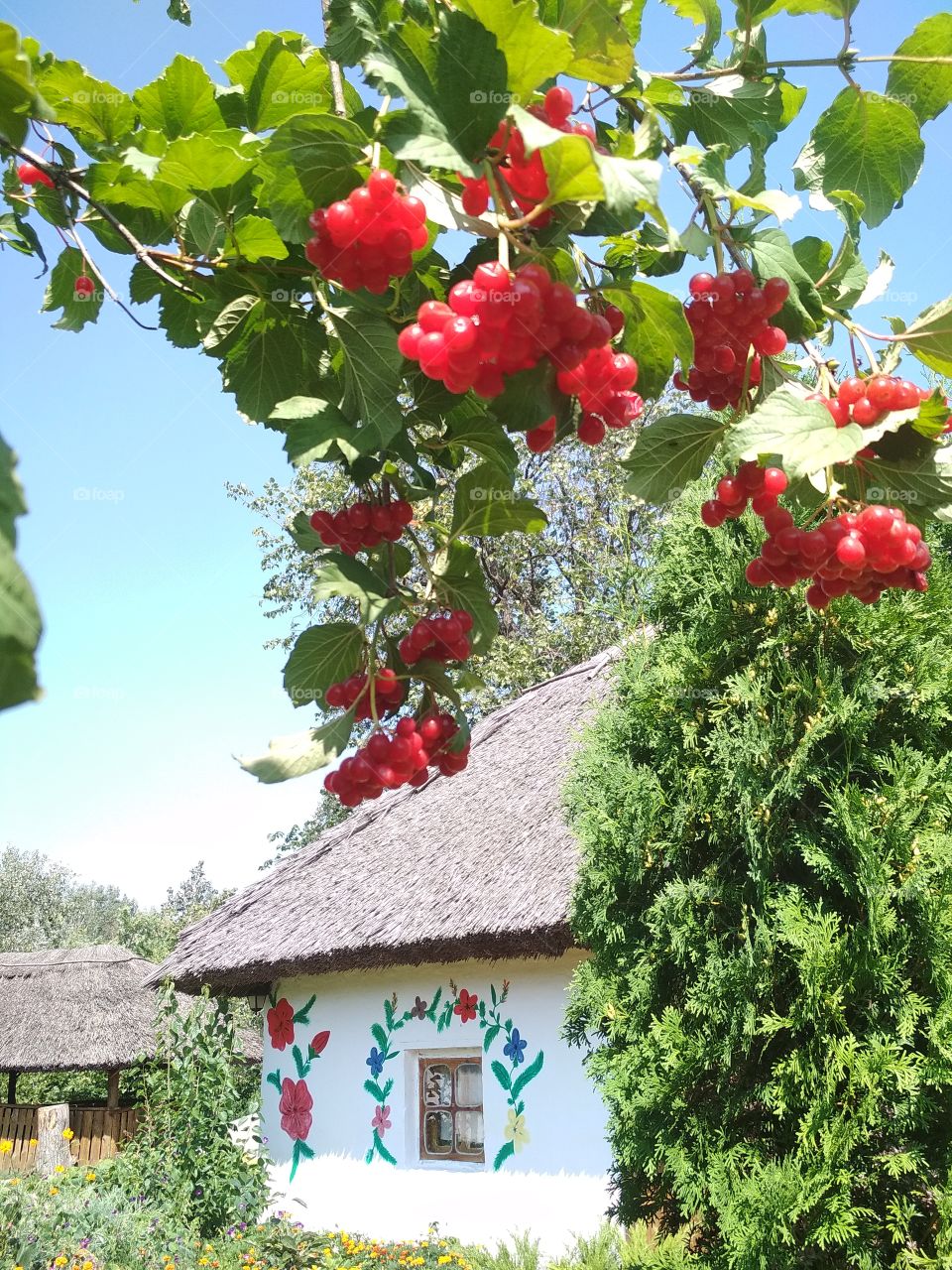 Хатка. Калина. Зелёный туризм.