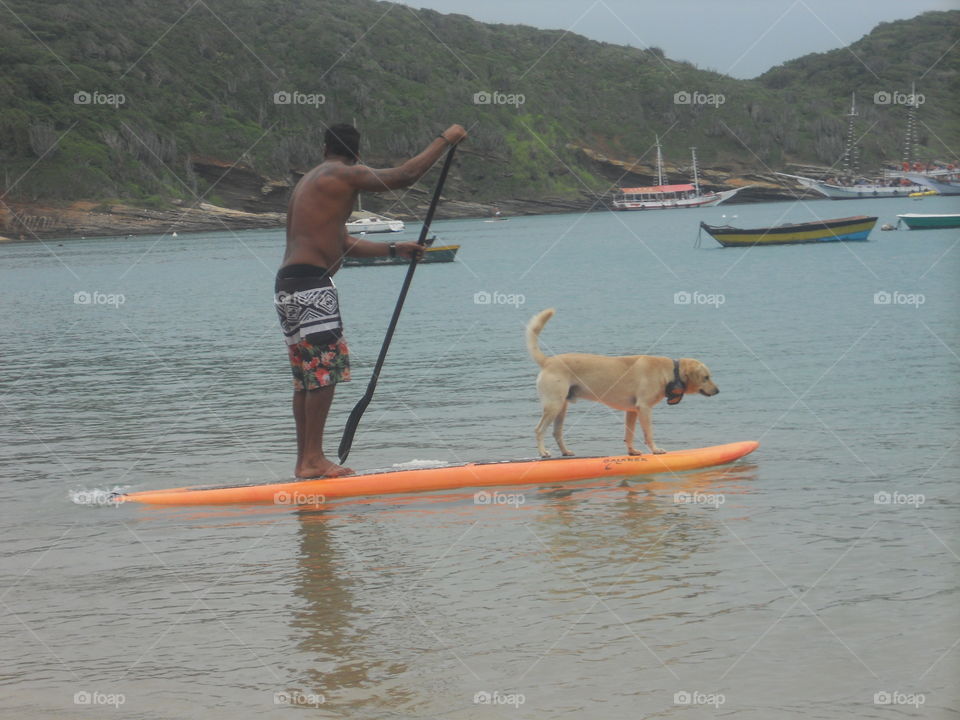 mar hombre balsa perro