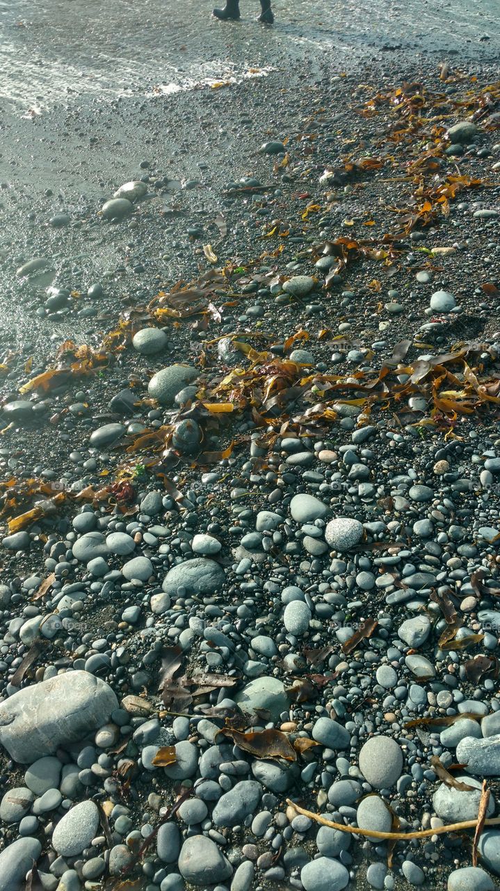 Sea bed rocks