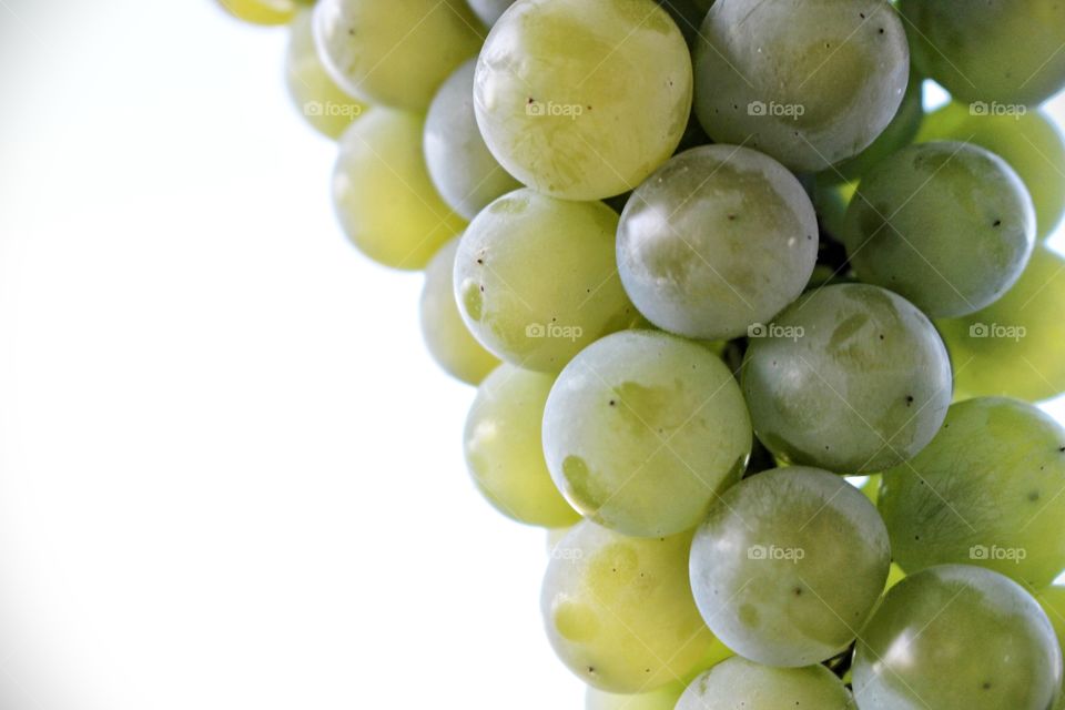 grapes