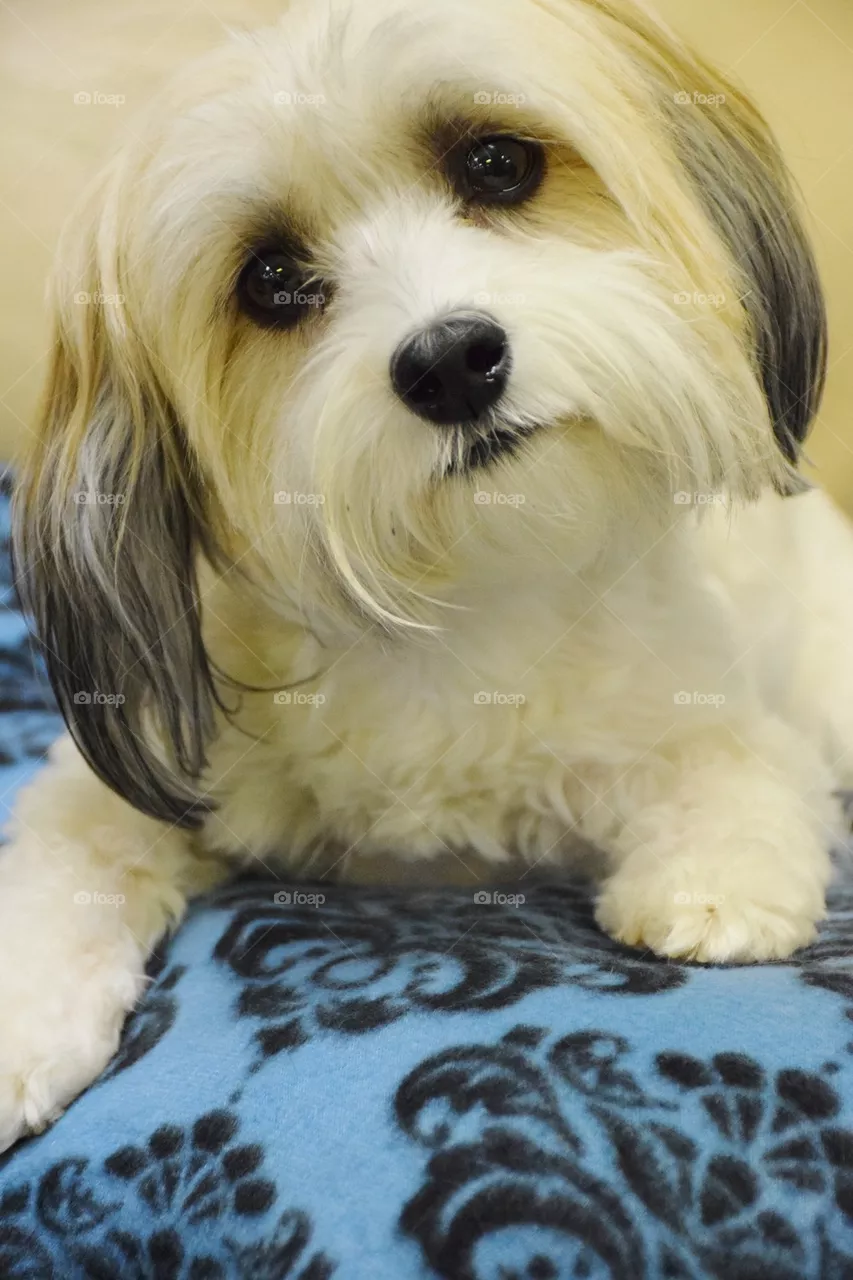 Lucy