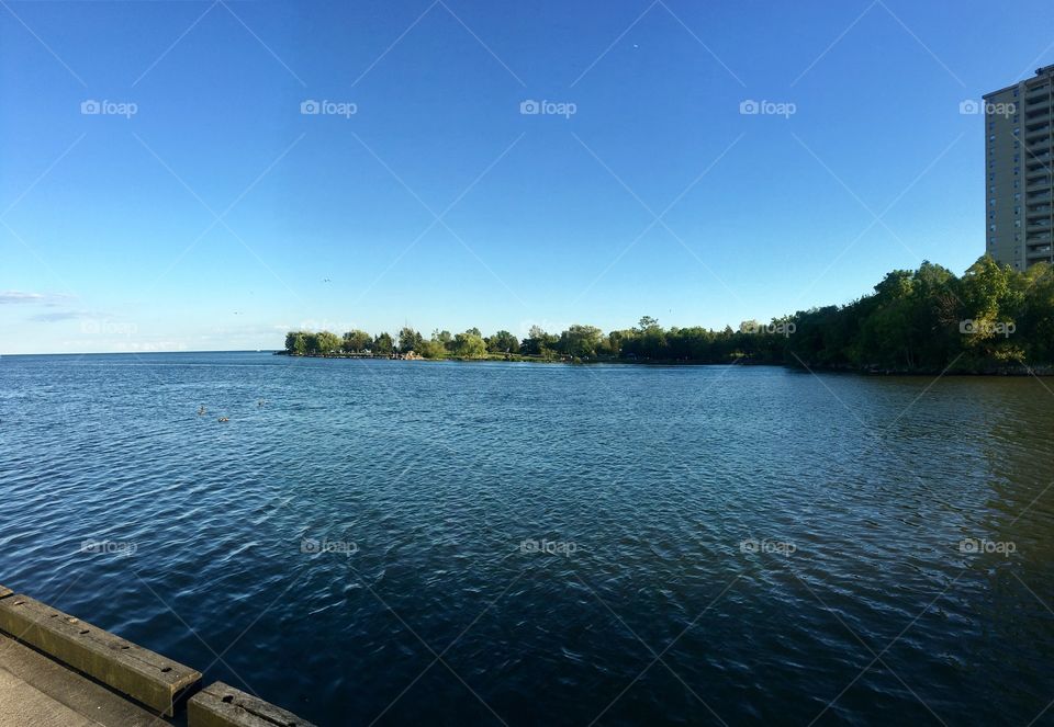 Lake view
