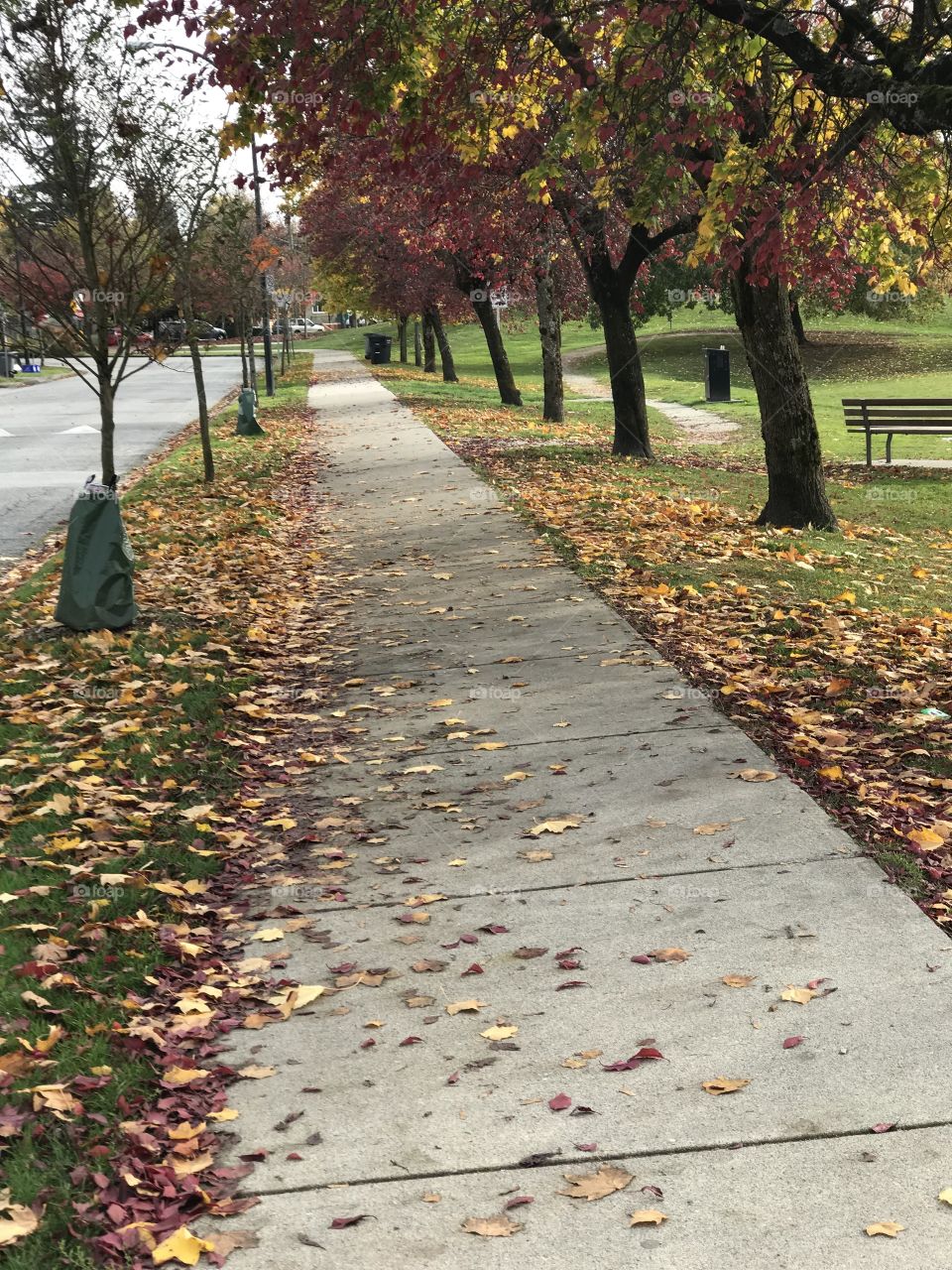 Autumn sidewalk 