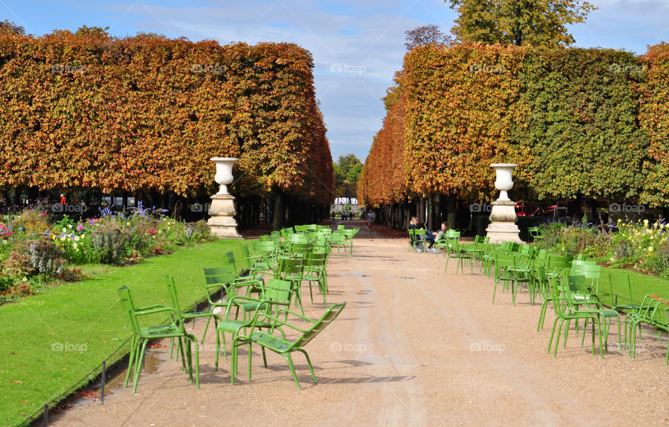 Autumn garden in Paris 