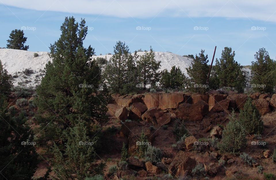 Contrasting brown rock with juniper trees with a white hill in the background against a blue sky on a summer evening in Central Oregon. 