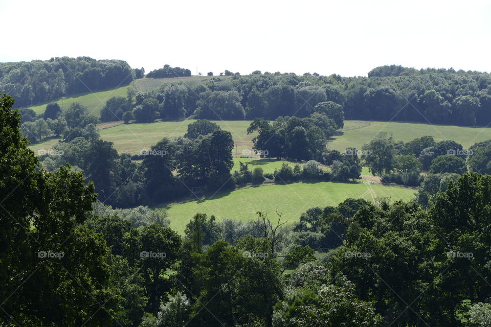 Cotswolds