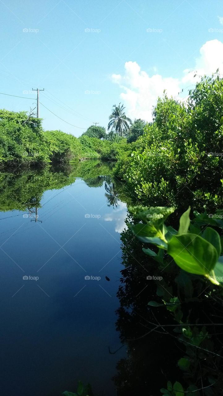 wetlands captured