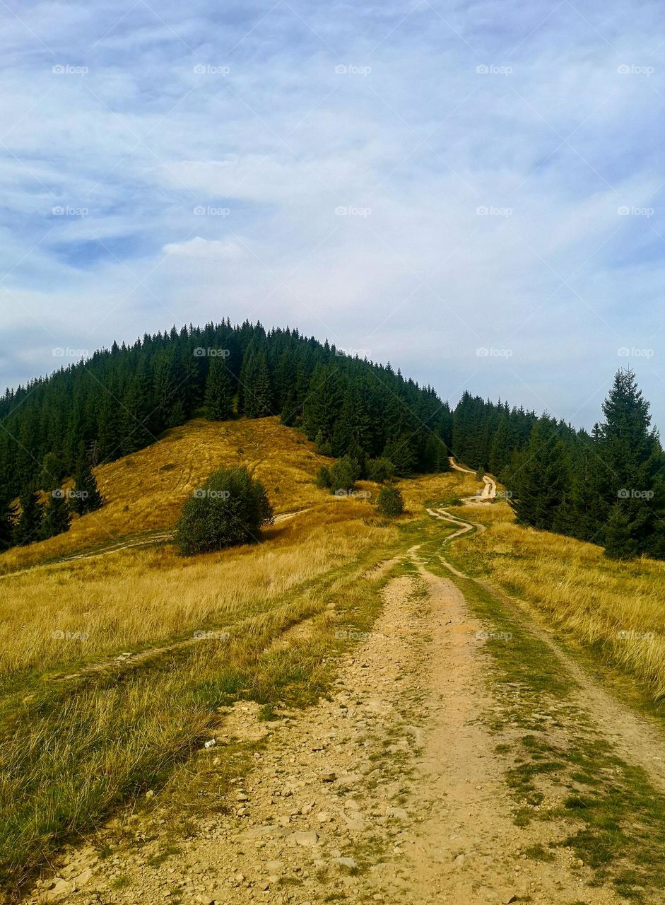 Road at mountain,Ukraine 