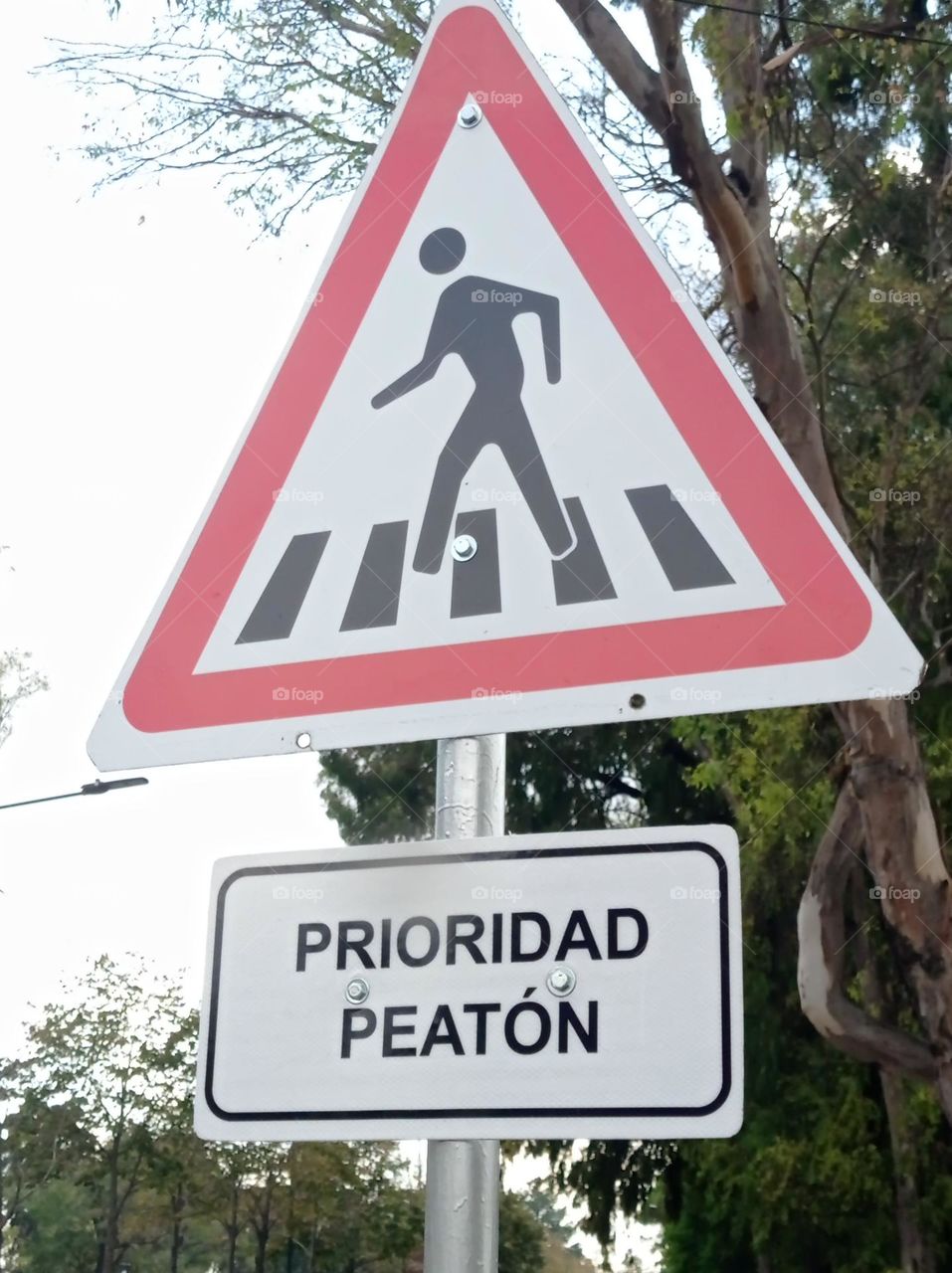 pedestrian crossing / cruce peatonal