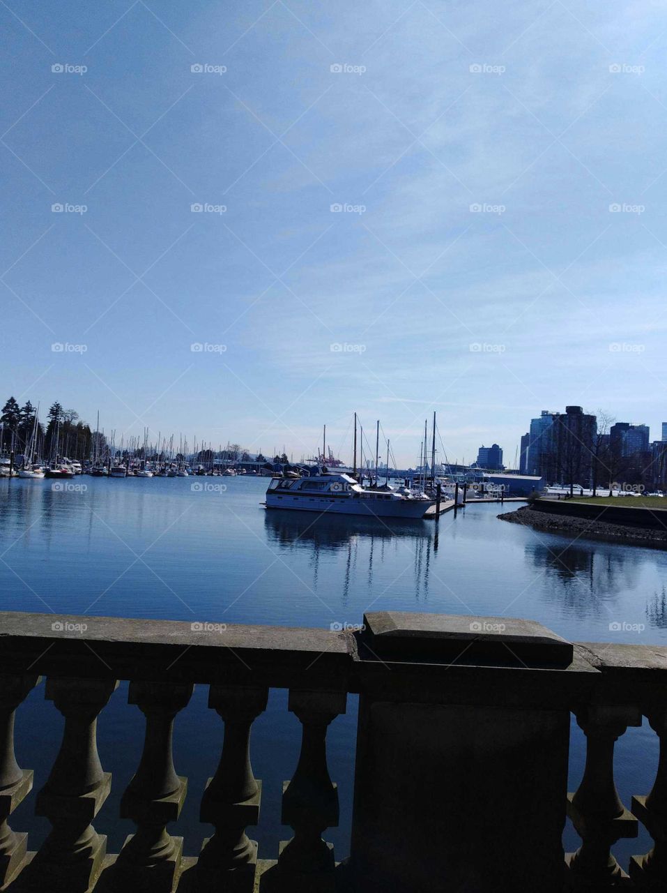 morning bliss beforehand