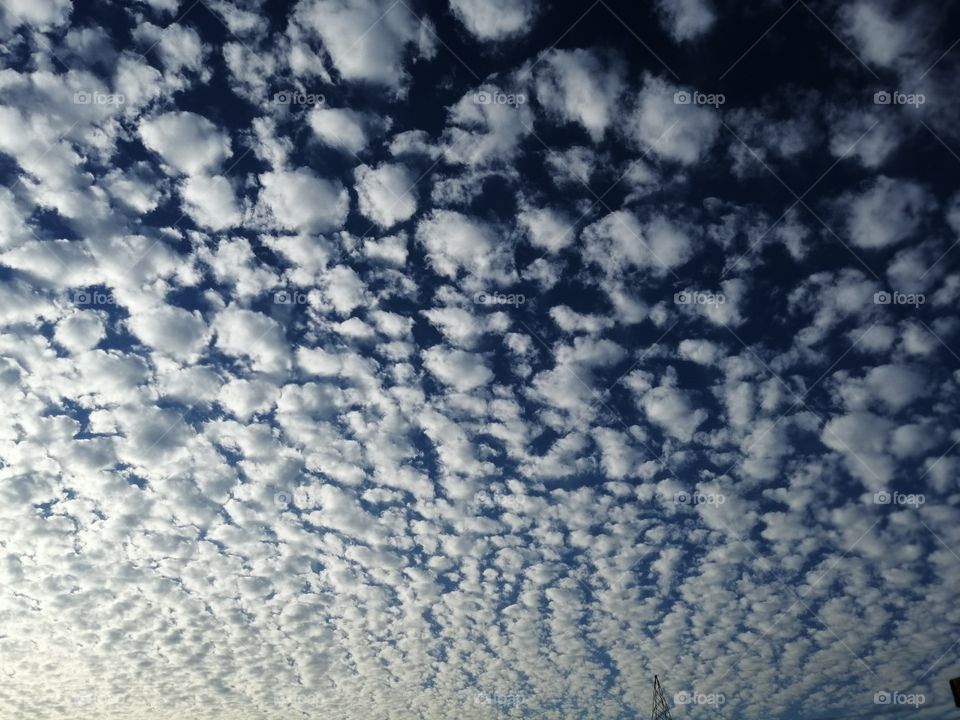 Sky.