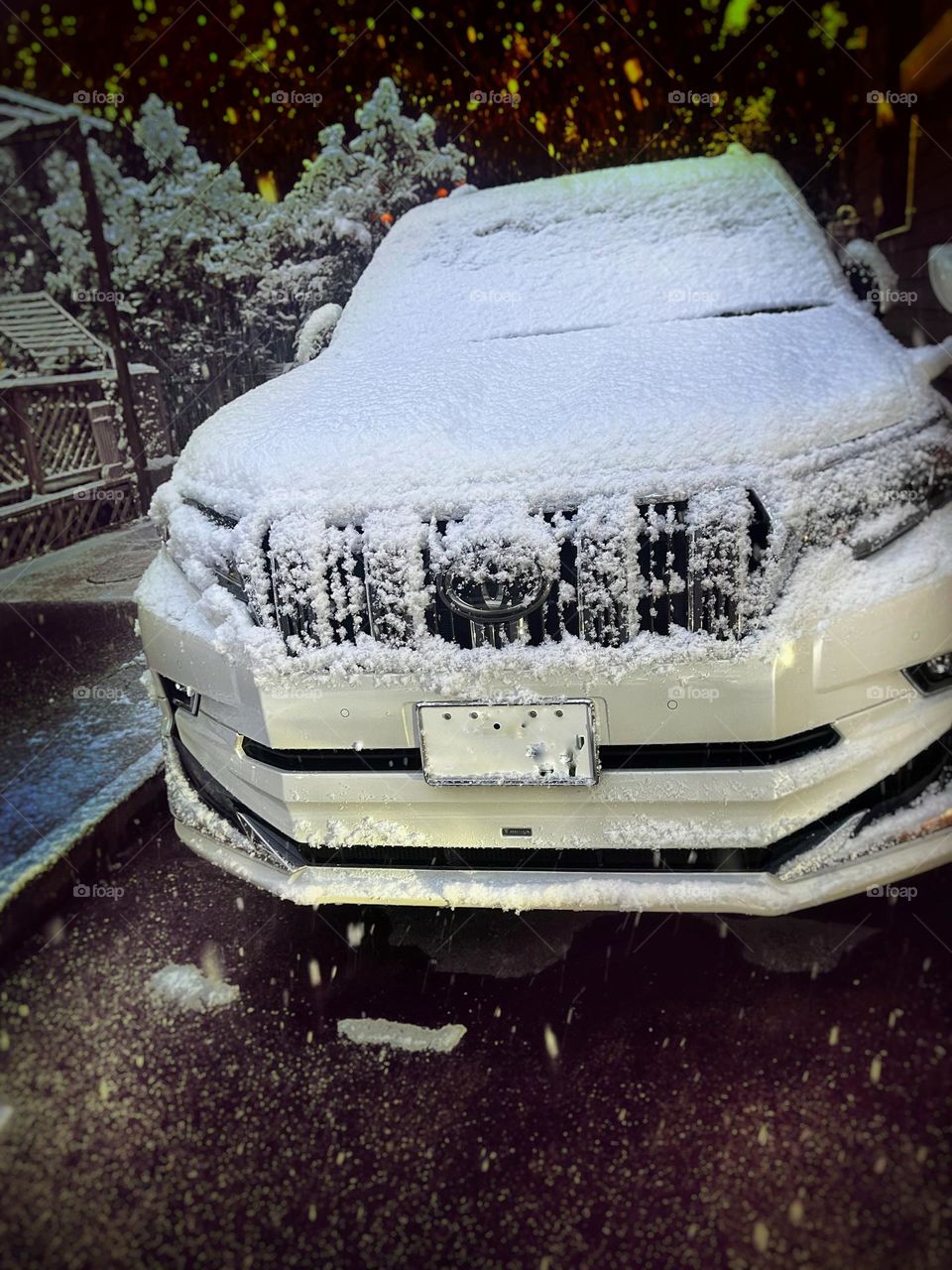 snowfall on the car