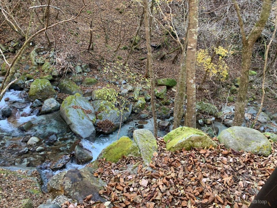 amazing natural stream in a village