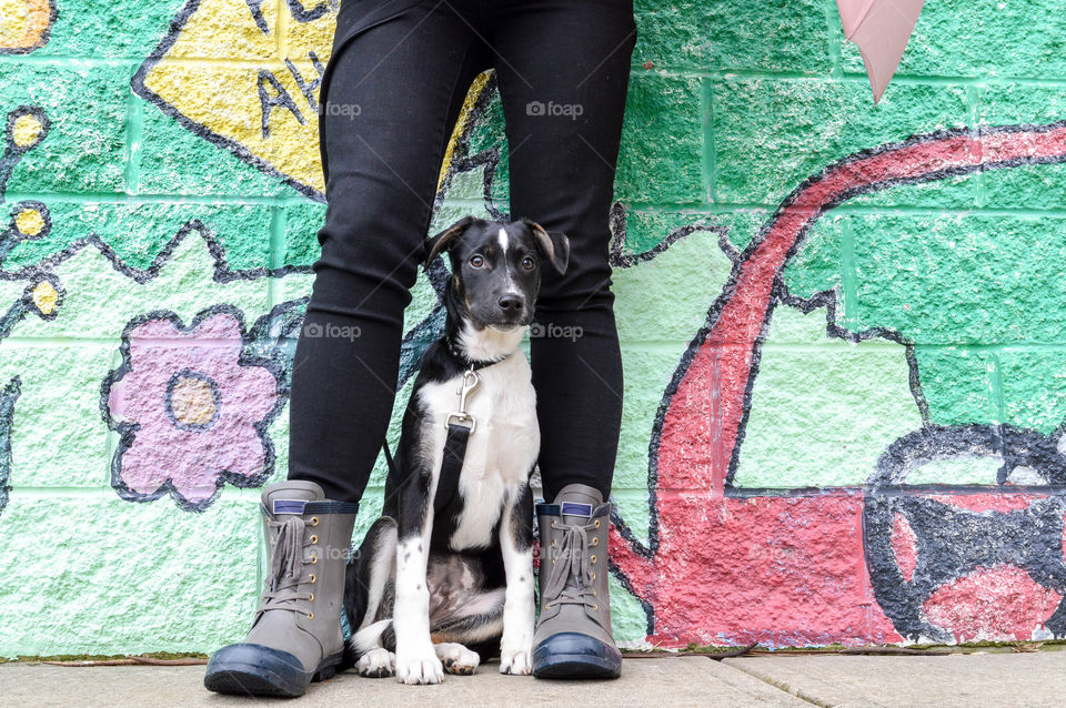 Woman standing outdoors with her puppy on a leash in an urban setting