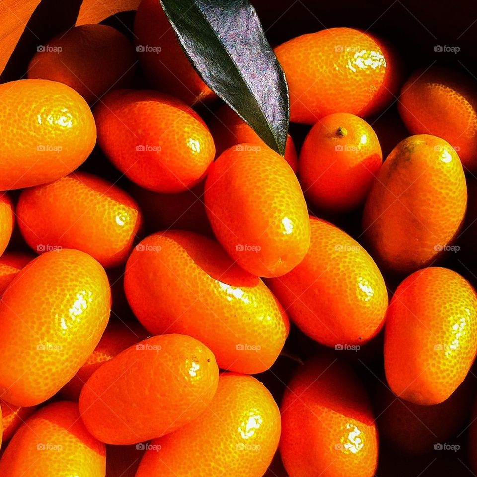 Citrus