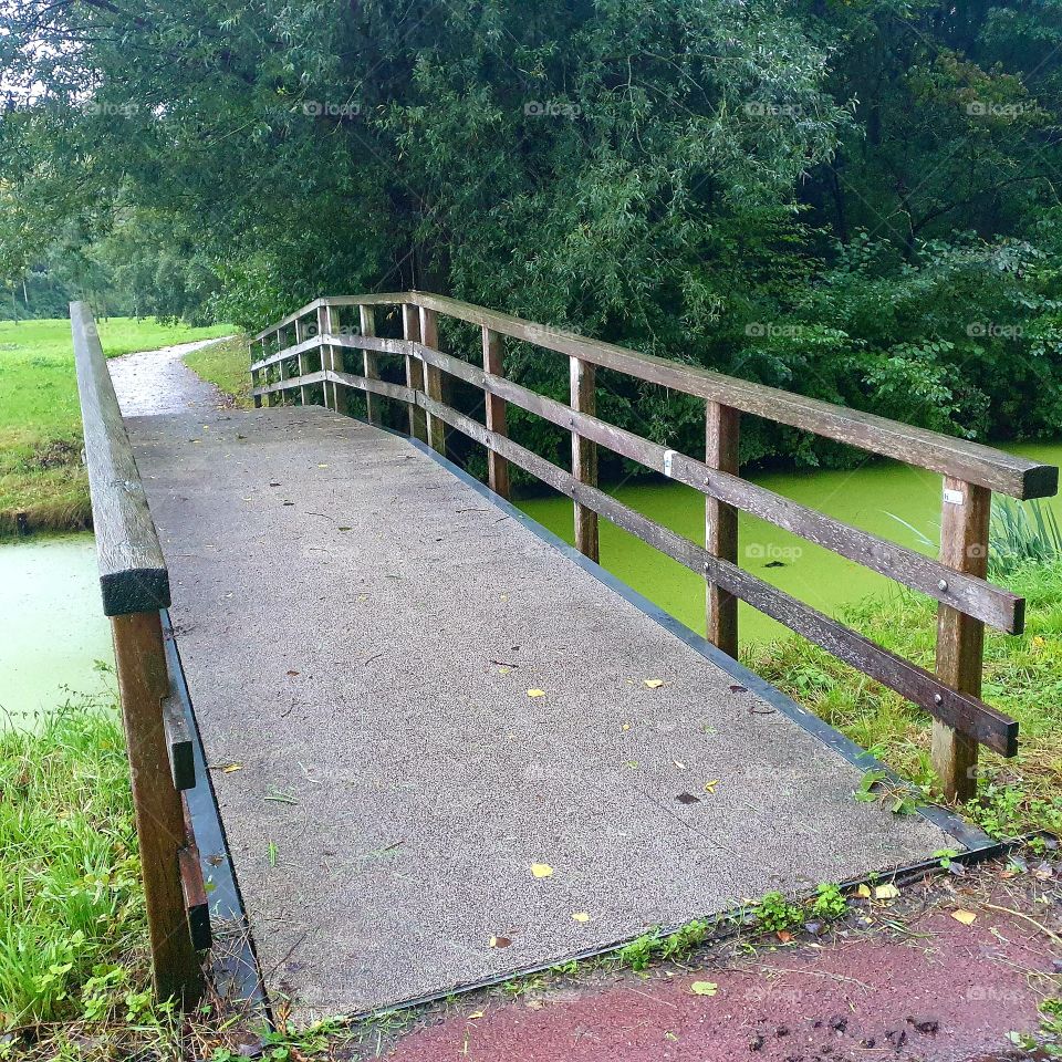 Wet rainy bridge in Rotterdam