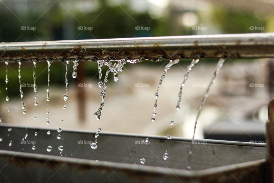 Water Drops