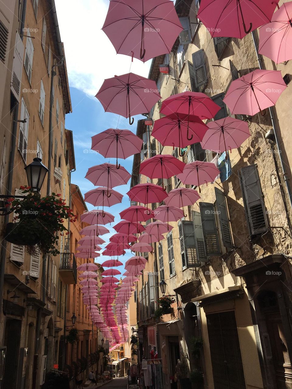 Pinky umbrellas in historic streets