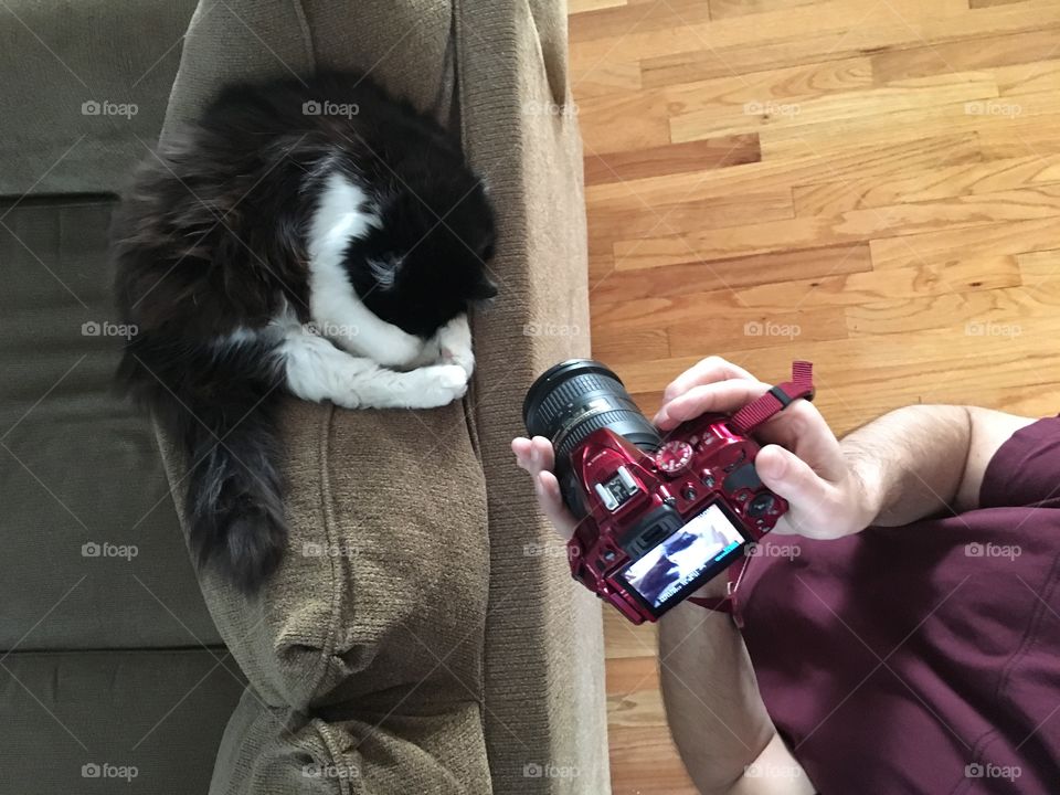 Candid photos, taking pictures of sleeping cat