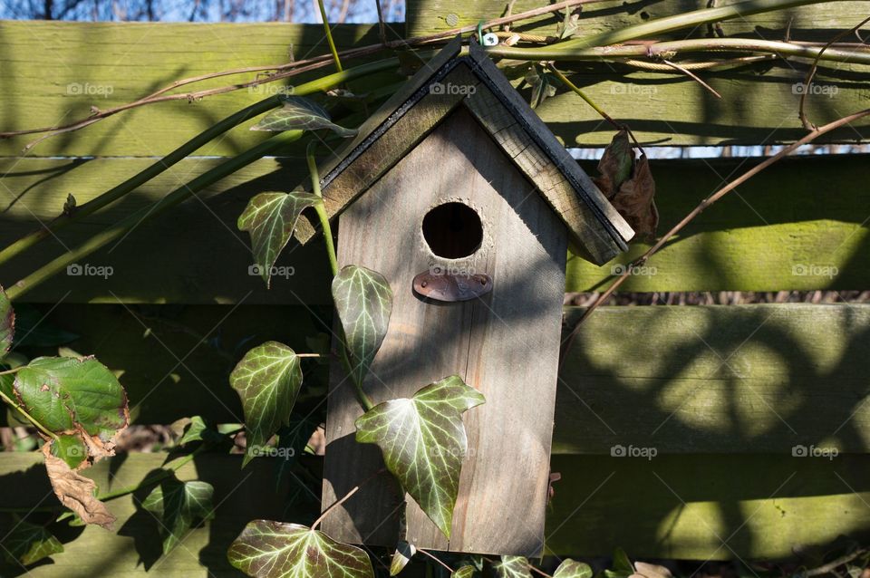 Bird house