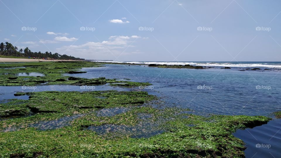 natural swimming pool