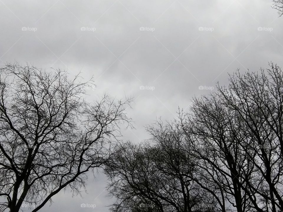 threat of rain in the sky