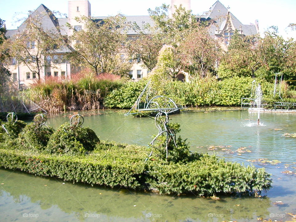 Water, River, Lake, Pool, Travel