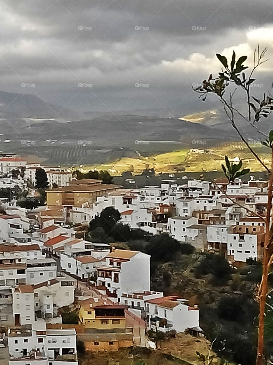 Views of Andalucia, Spain