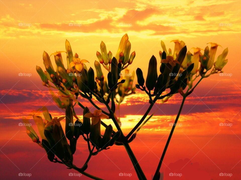 Sunset over Naples ( Italy ).