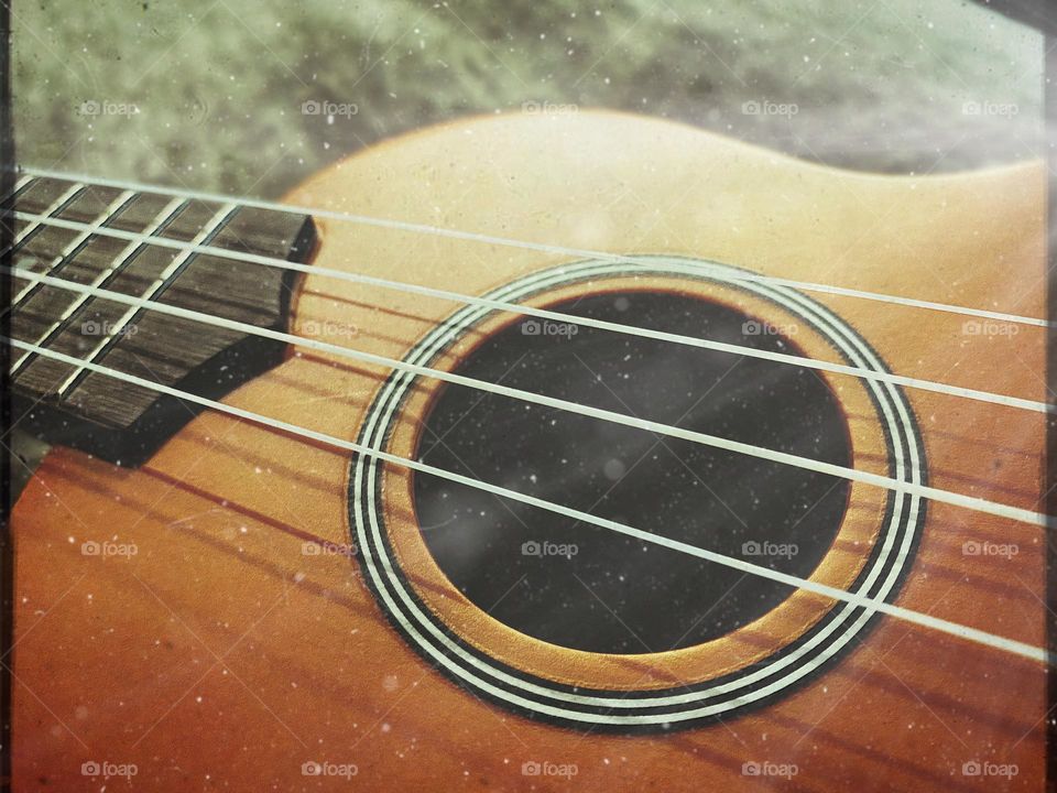 Closeup of a ukulele. 