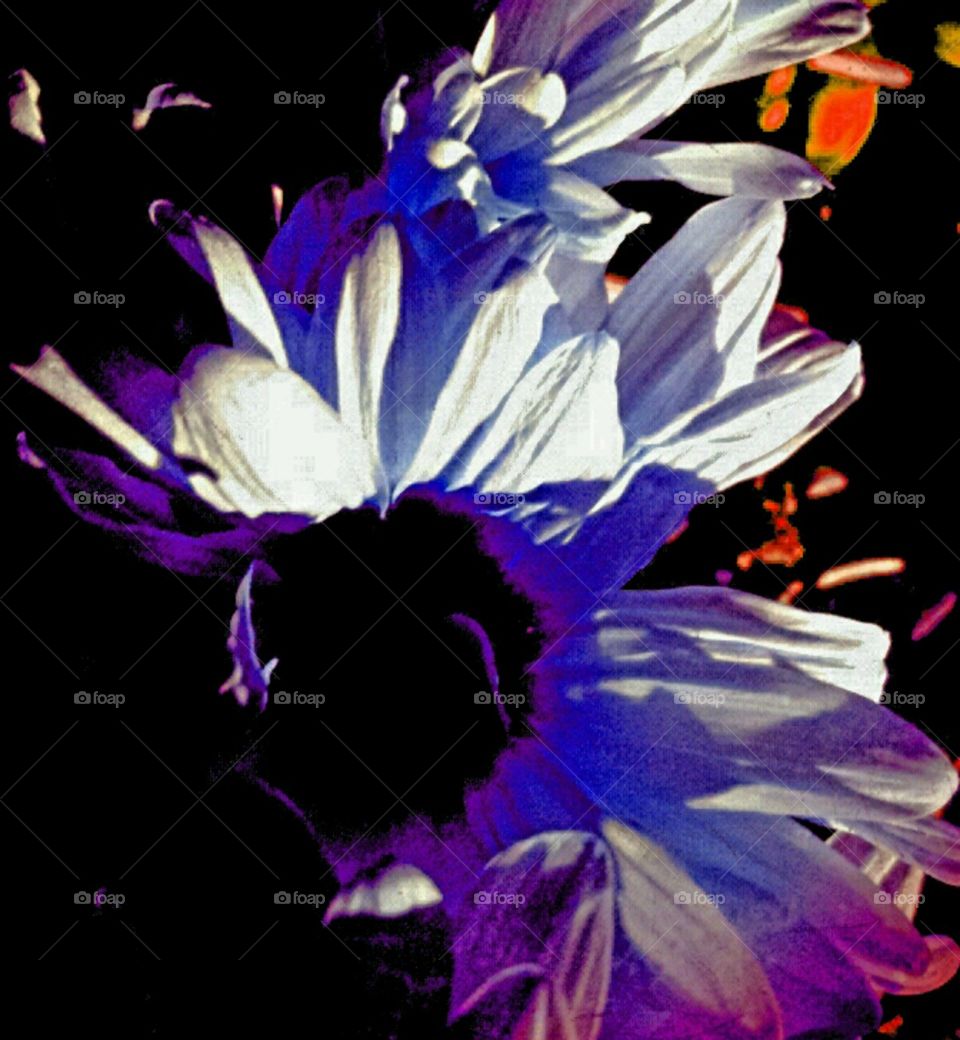 just sing. lighting effects