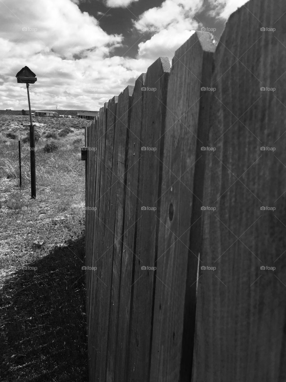 Fence boards 