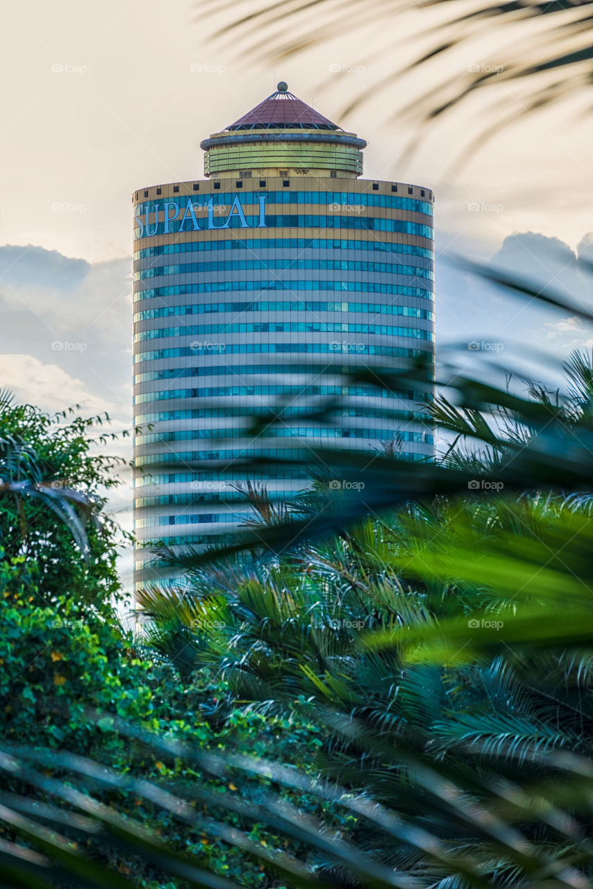 Modern building in the jungle
