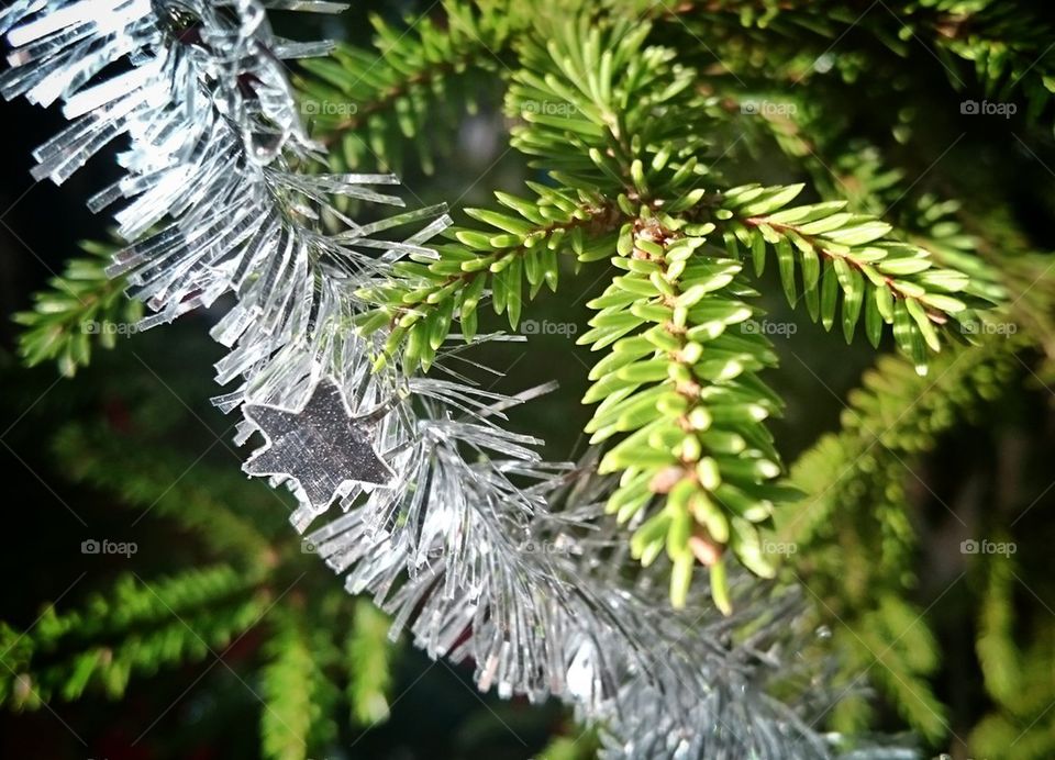 Christmas tree detail