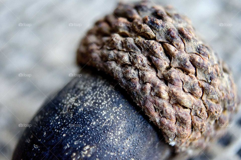 No Person, Nature, Food, Closeup, Fruit