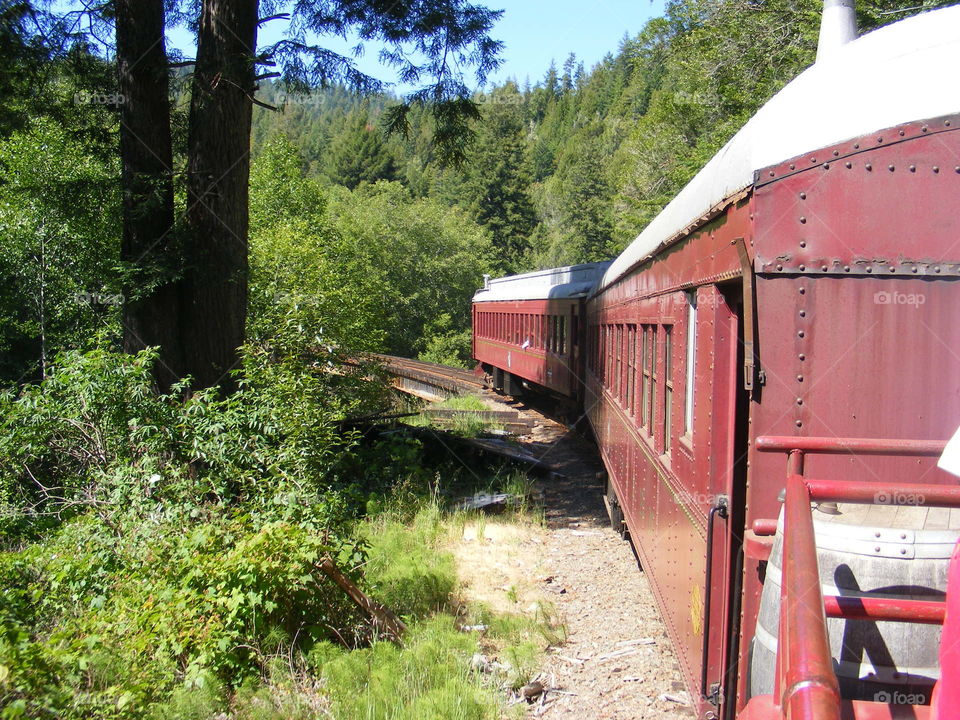 Train ride through the Redwoods