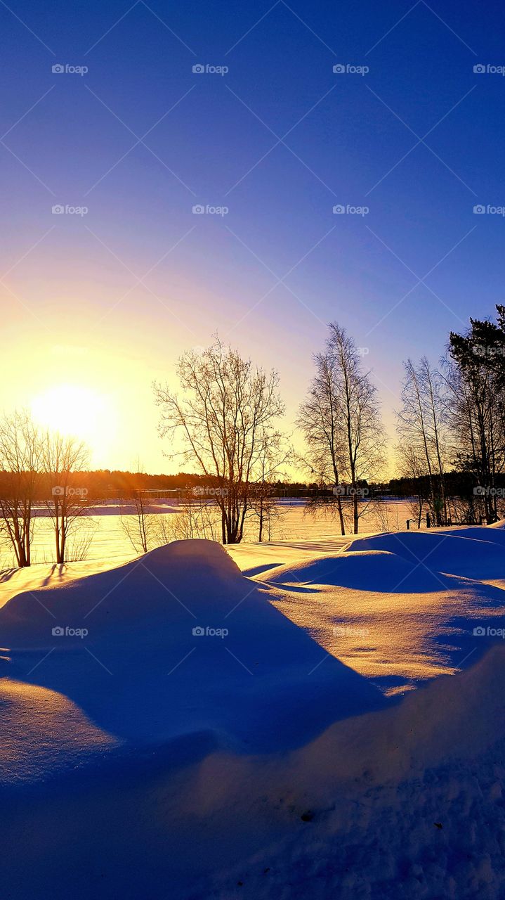 Beautiful day in winterland