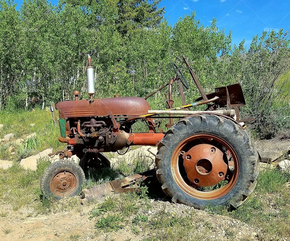 Old Farmall tractor.... still in use