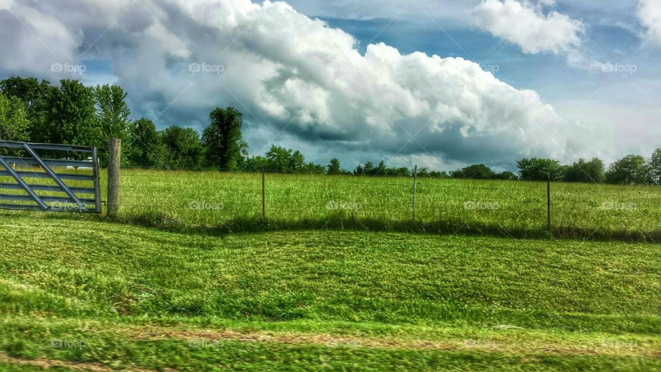 Pasture Fence