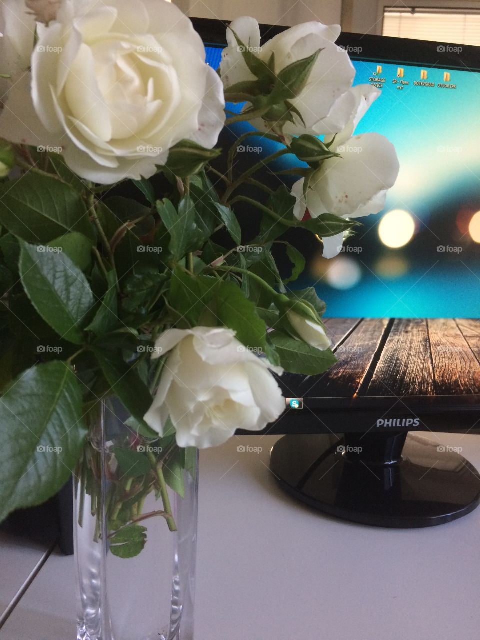 Roses in the office